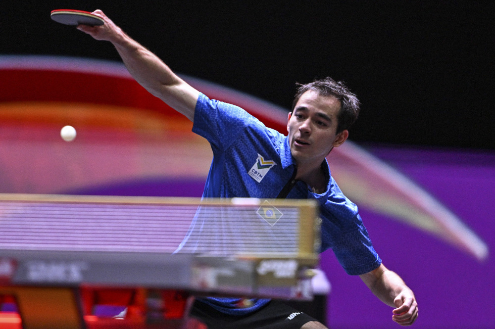 迅速赢得了 迅速赢得了